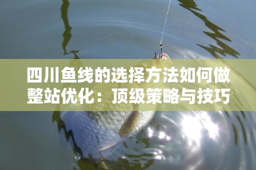 四川鱼线的选择方法如何做整站优化：顶级策略与技巧