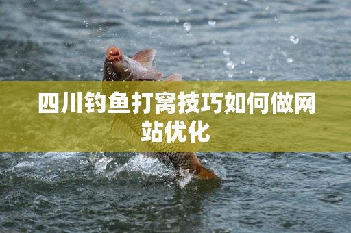 四川钓鱼打窝技巧如何做网站优化