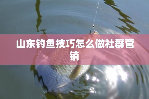山东钓鱼技巧怎么做社群营销