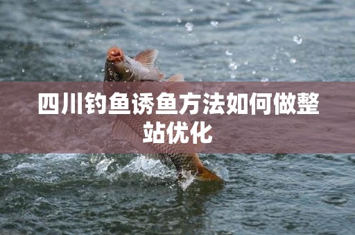 四川钓鱼诱鱼方法如何做整站优化