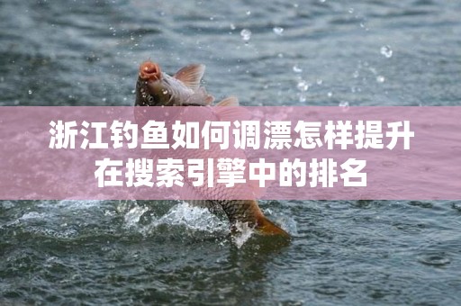 浙江钓鱼如何调漂怎样提升在搜索引擎中的排名