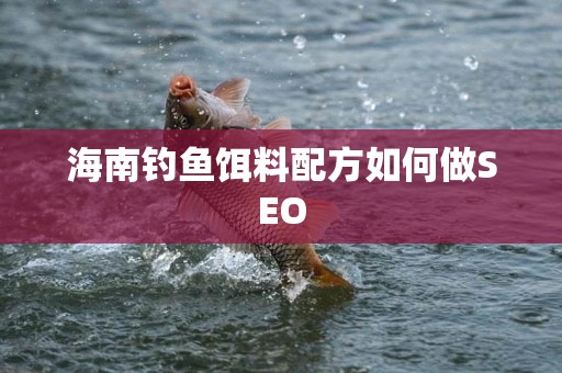 海南钓鱼饵料配方如何做SEO