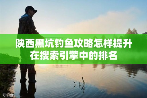 陕西黑坑钓鱼攻略怎样提升在搜索引擎中的排名