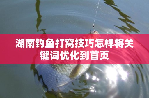 湖南钓鱼打窝技巧怎样将关键词优化到首页