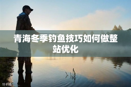 青海冬季钓鱼技巧如何做整站优化