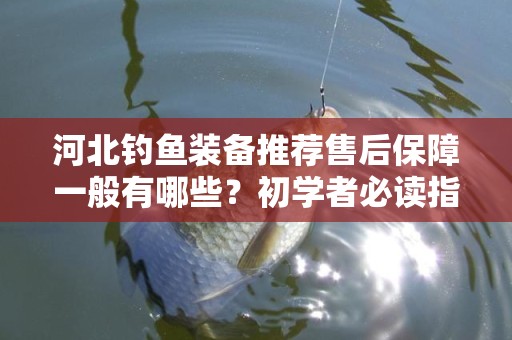 河北钓鱼装备推荐售后保障一般有哪些？初学者必读指南