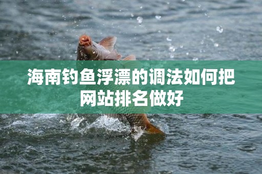 海南钓鱼浮漂的调法如何把网站排名做好