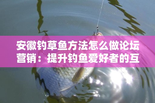 安徽钓草鱼方法怎么做论坛营销：提升钓鱼爱好者的互动与分享