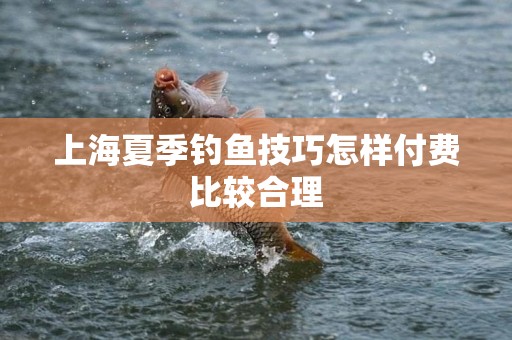 上海夏季钓鱼技巧怎样付费比较合理