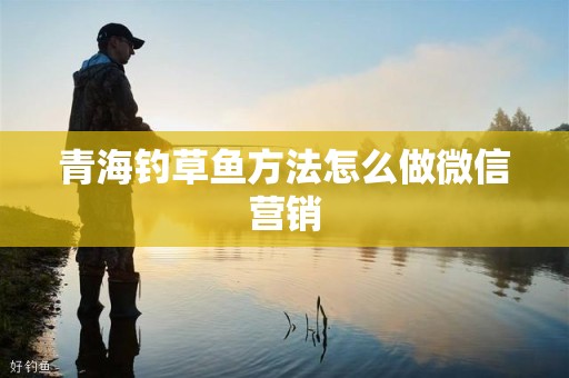 青海钓草鱼方法怎么做微信营销
