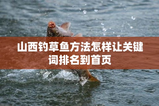 山西钓草鱼方法怎样让关键词排名到首页