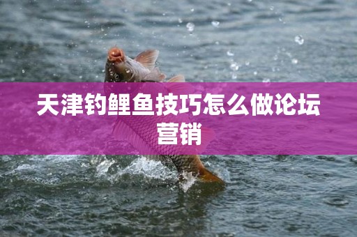天津钓鲤鱼技巧怎么做论坛营销