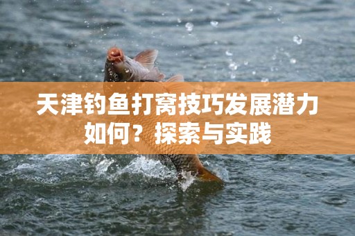 天津钓鱼打窝技巧发展潜力如何？探索与实践