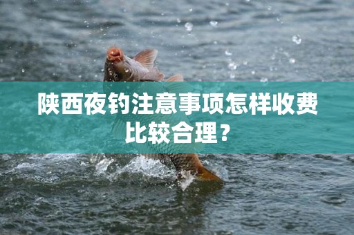 陕西夜钓注意事项怎样收费比较合理？