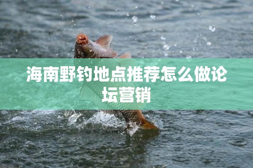 海南野钓地点推荐怎么做论坛营销