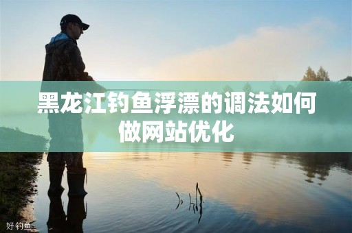 黑龙江钓鱼浮漂的调法如何做网站优化