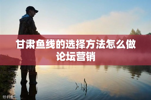 甘肃鱼线的选择方法怎么做论坛营销