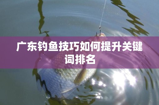 广东钓鱼技巧如何提升关键词排名