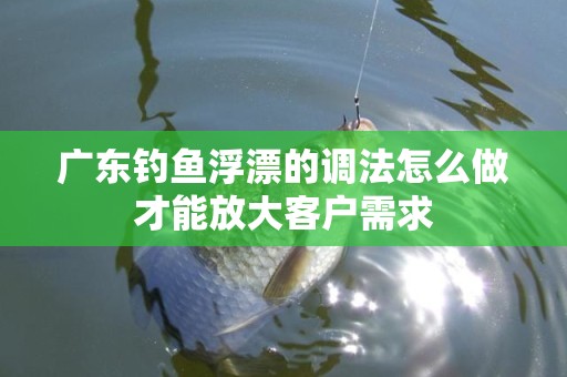 广东钓鱼浮漂的调法怎么做才能放大客户需求