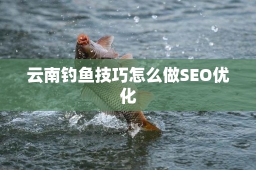 云南钓鱼技巧怎么做SEO优化
