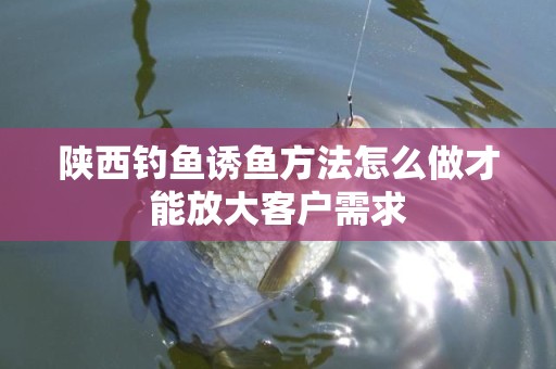 陕西钓鱼诱鱼方法怎么做才能放大客户需求