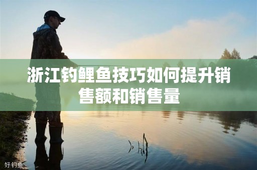 浙江钓鲤鱼技巧如何提升销售额和销售量