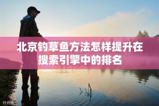 北京钓草鱼方法怎样提升在搜索引擎中的排名
