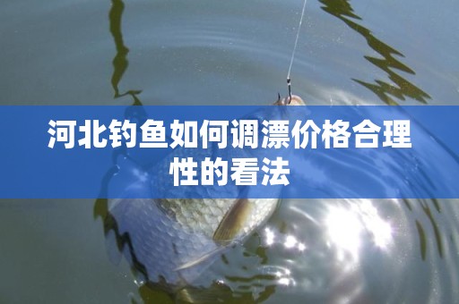 河北钓鱼如何调漂价格合理性的看法