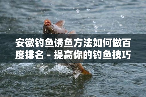 安徽钓鱼诱鱼方法如何做百度排名 - 提高你的钓鱼技巧与在线曝光