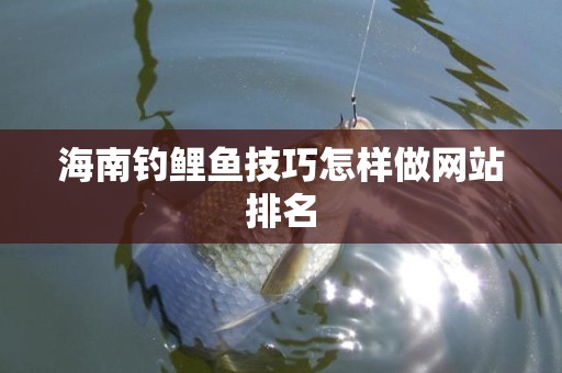海南钓鲤鱼技巧怎样做网站排名