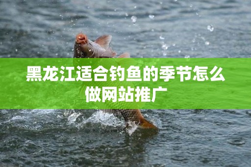 黑龙江适合钓鱼的季节怎么做网站推广