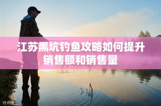 江苏黑坑钓鱼攻略如何提升销售额和销售量