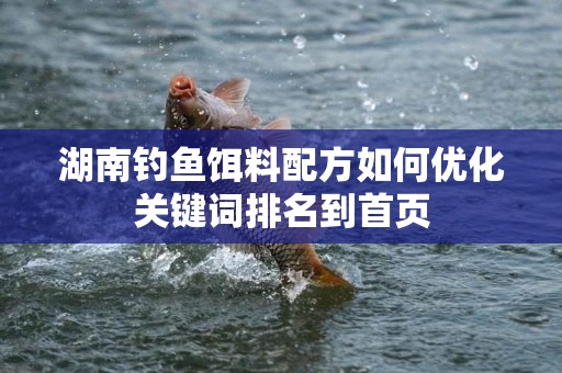 湖南钓鱼饵料配方如何优化关键词排名到首页