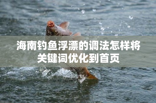 海南钓鱼浮漂的调法怎样将关键词优化到首页
