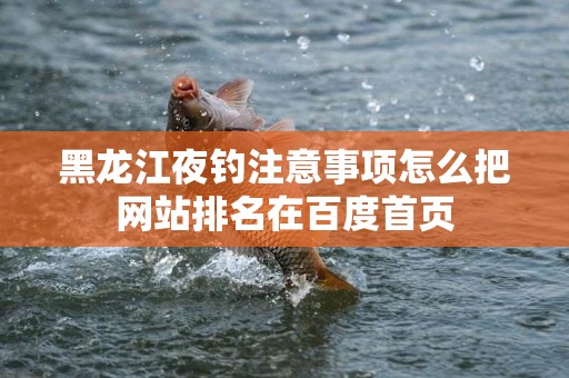 黑龙江夜钓注意事项怎么把网站排名在百度首页