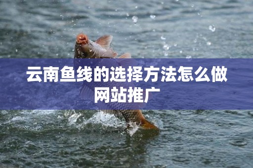 云南鱼线的选择方法怎么做网站推广