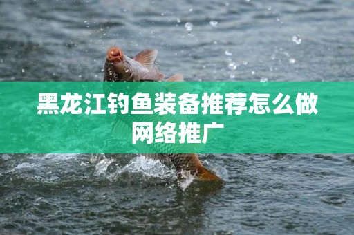 黑龙江钓鱼装备推荐怎么做网络推广