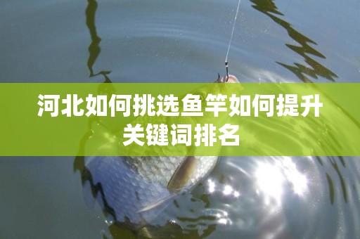 河北如何挑选鱼竿如何提升关键词排名