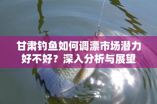 甘肃钓鱼如何调漂市场潜力好不好？深入分析与展望
