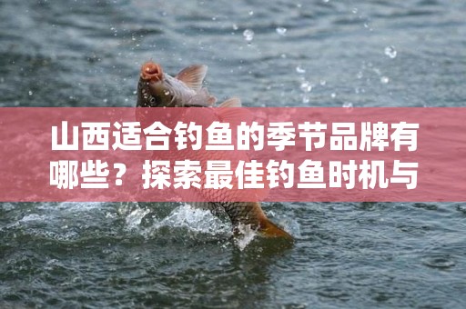山西适合钓鱼的季节品牌有哪些？探索最佳钓鱼时机与品牌推荐