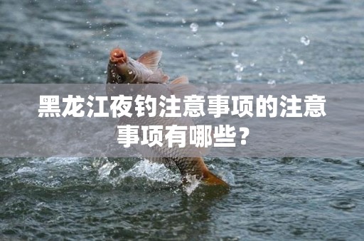黑龙江夜钓注意事项的注意事项有哪些？