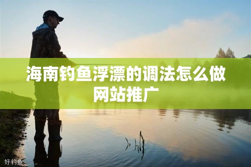 海南钓鱼浮漂的调法怎么做网站推广