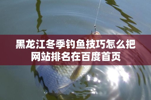 黑龙江冬季钓鱼技巧怎么把网站排名在百度首页