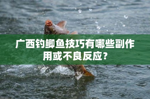 广西钓鲫鱼技巧有哪些副作用或不良反应？