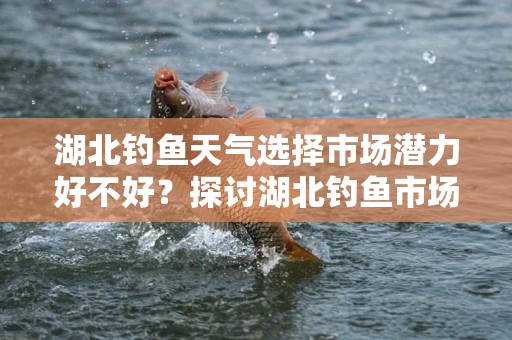 湖北钓鱼天气选择市场潜力好不好？探讨湖北钓鱼市场的现状与前景