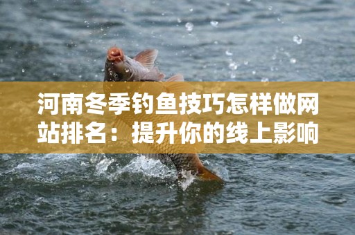 河南冬季钓鱼技巧怎样做网站排名：提升你的线上影响力