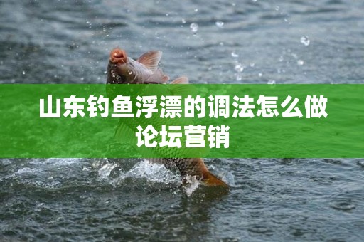 山东钓鱼浮漂的调法怎么做论坛营销