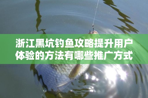 浙江黑坑钓鱼攻略提升用户体验的方法有哪些推广方式有哪些