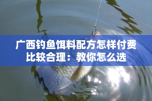 广西钓鱼饵料配方怎样付费比较合理：教你怎么选