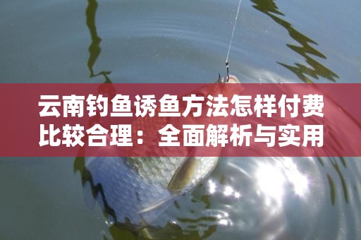 云南钓鱼诱鱼方法怎样付费比较合理：全面解析与实用技巧
